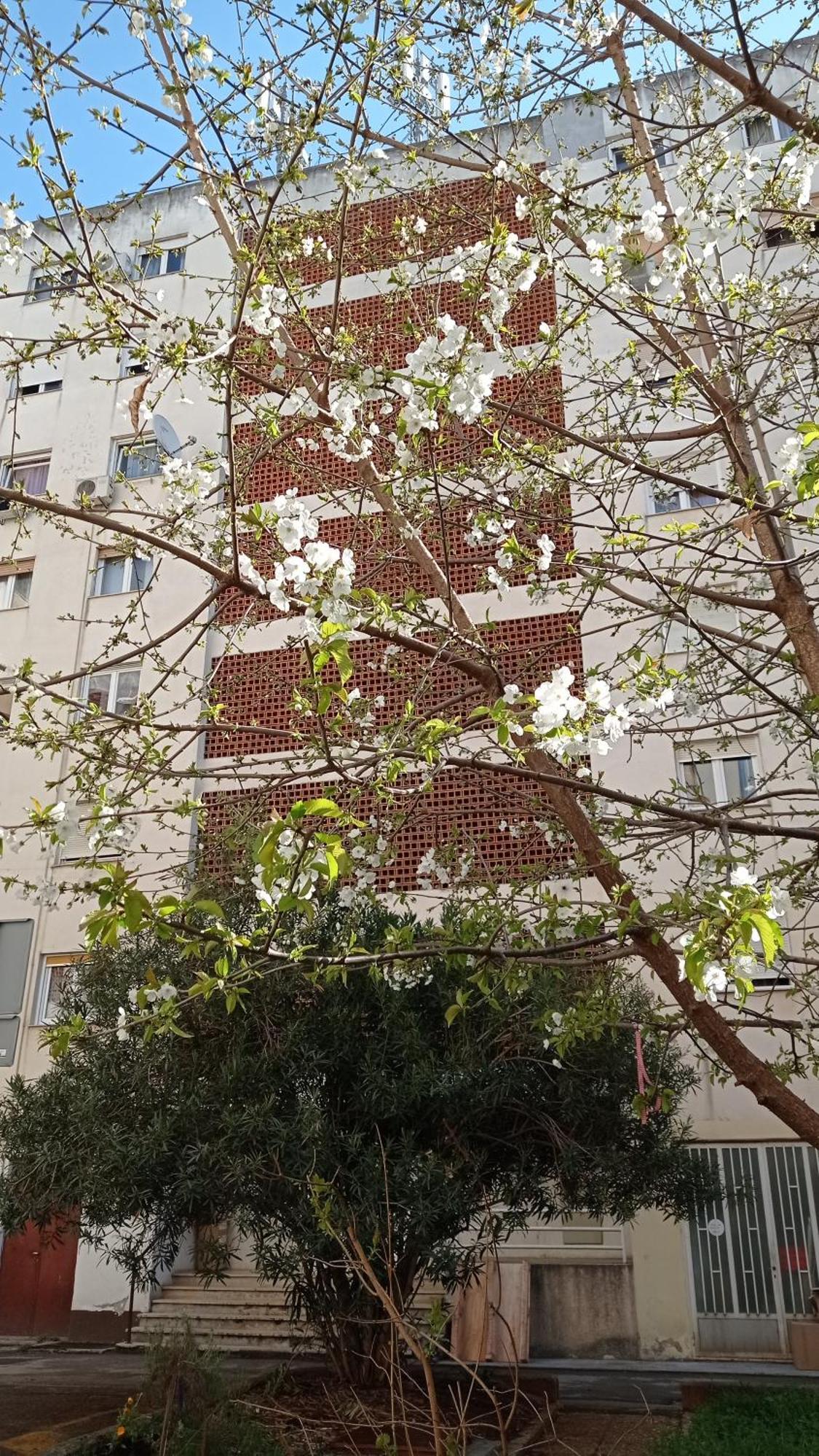 App Letta Sunset Pula Apartment Exterior photo
